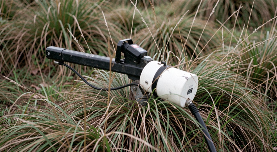 A remote launcher staked in tall grass with a white bumper seated in its arm and a cord running back through the stubble