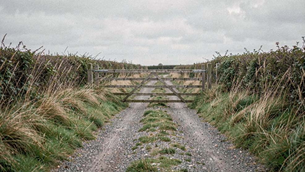 A closed wooden gate at the end of an empty gravel lane, tall grass leaning over the ruts and a gray sky above the hedgerow
